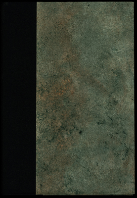 Damaged Nature (2005) book cover