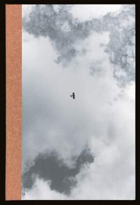 Emerging Sentience (2001) book cover