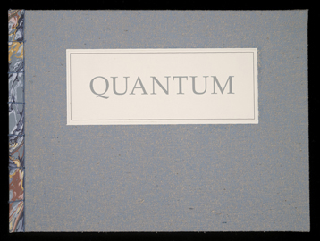 Quantum (2001) book cover